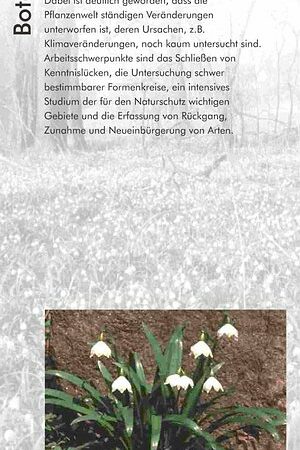 Naturforschende Gesellschaft der Oberlausitz e. V.