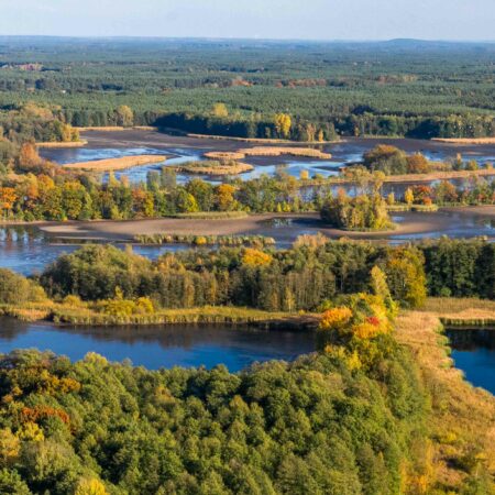 Partnerlogo von Die Oberlausitzer Heide- und Teichlandschaft - Ein Hotspot der biologischen Vielfalt 