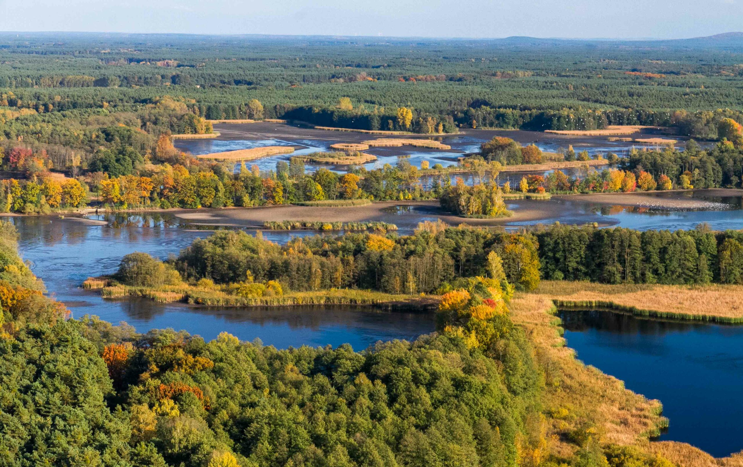 Partnerlogo von Die Oberlausitzer Heide- und Teichlandschaft – Ein Hotspot der biologischen Vielfalt