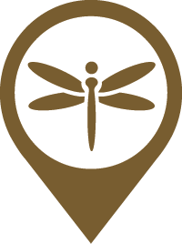 Icon für Zwischenmoore mit Libelle