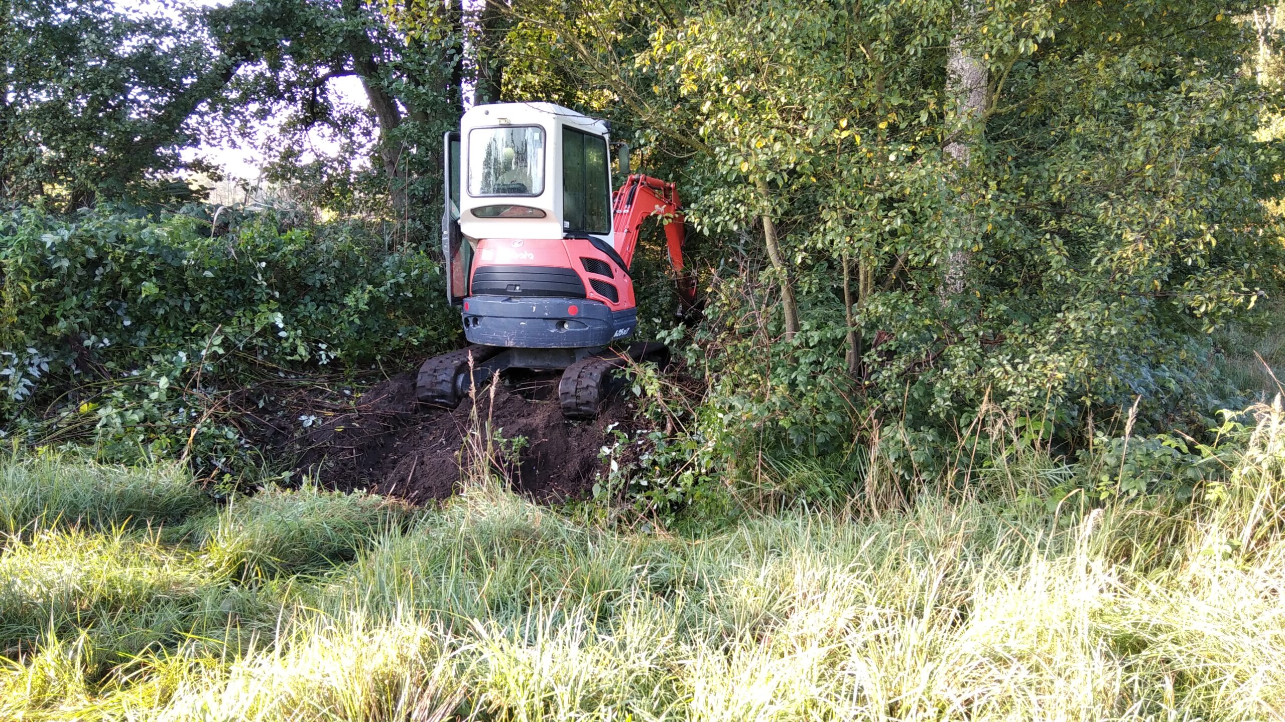 Maßnahmen MoSaiKTeiL