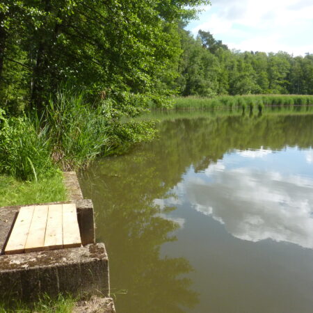 Starikteich in Kreba