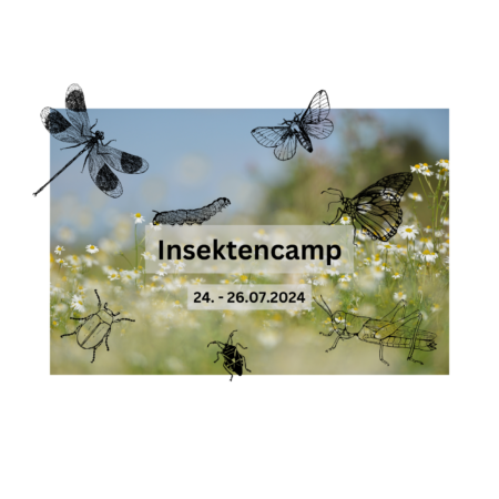 Partnerlogo von Insekten-Camp