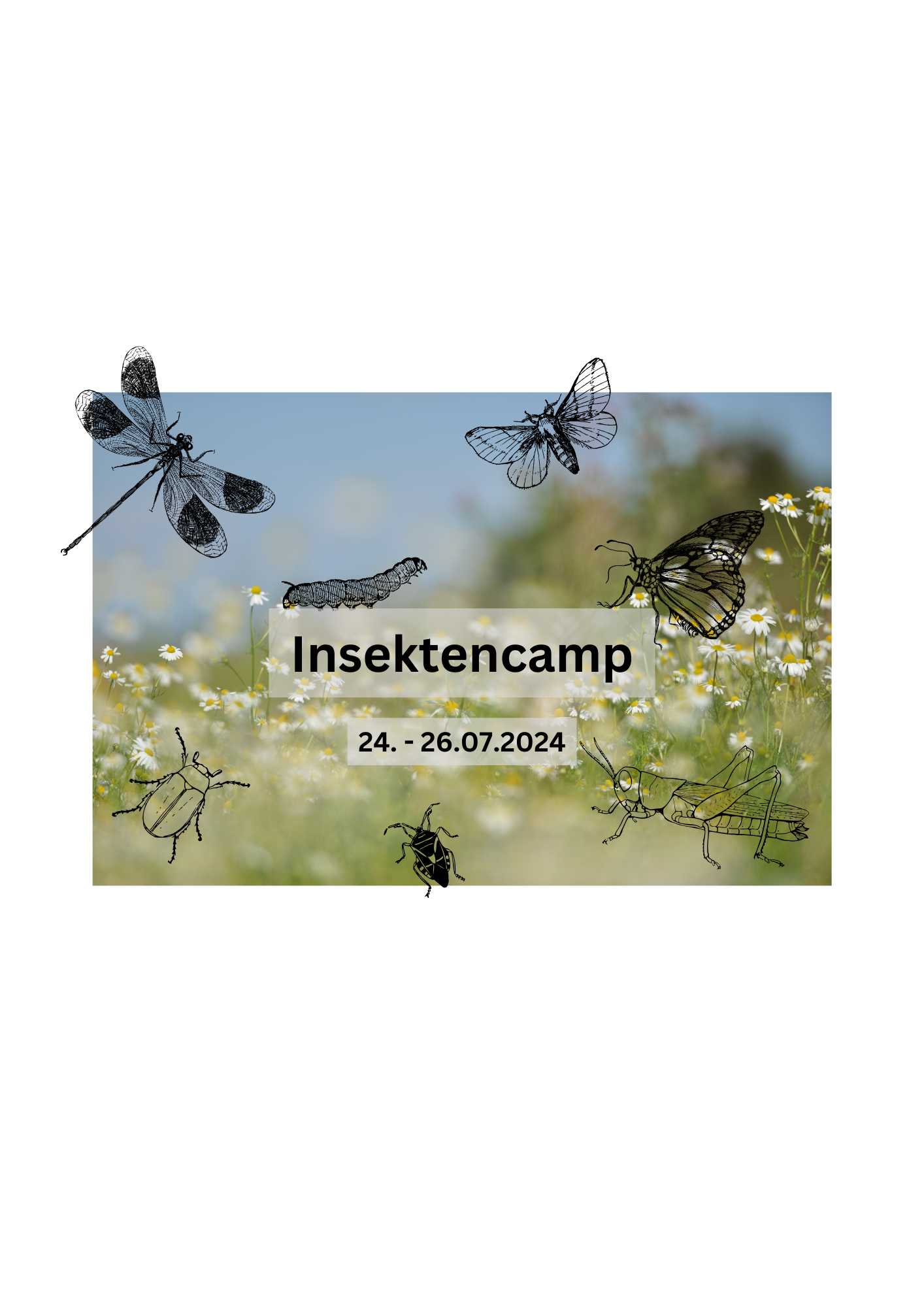 Partnerlogo von Insekten-Camp